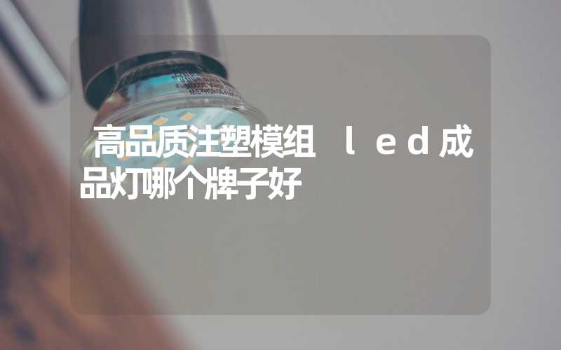 高品质注塑模组 led成品灯哪个牌子好